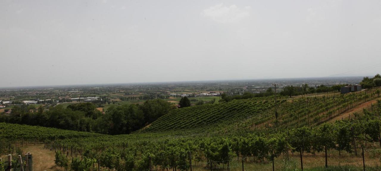 Terrazza San Vettore Camere Con Colazione, Relax In Collina Con Vista Sui Vigneti Docg Asolo Maser Dış mekan fotoğraf